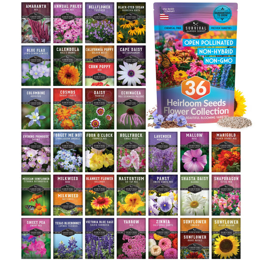 10 Flower Seed Collection for Planting | Zinnia, Sunflower, Marigold, Snapdragon, Nasturtium, Morning Glory, Chamomile, Shasta Daisy, Purple Coneflower, Four O’Clock - Survival Garden Seeds