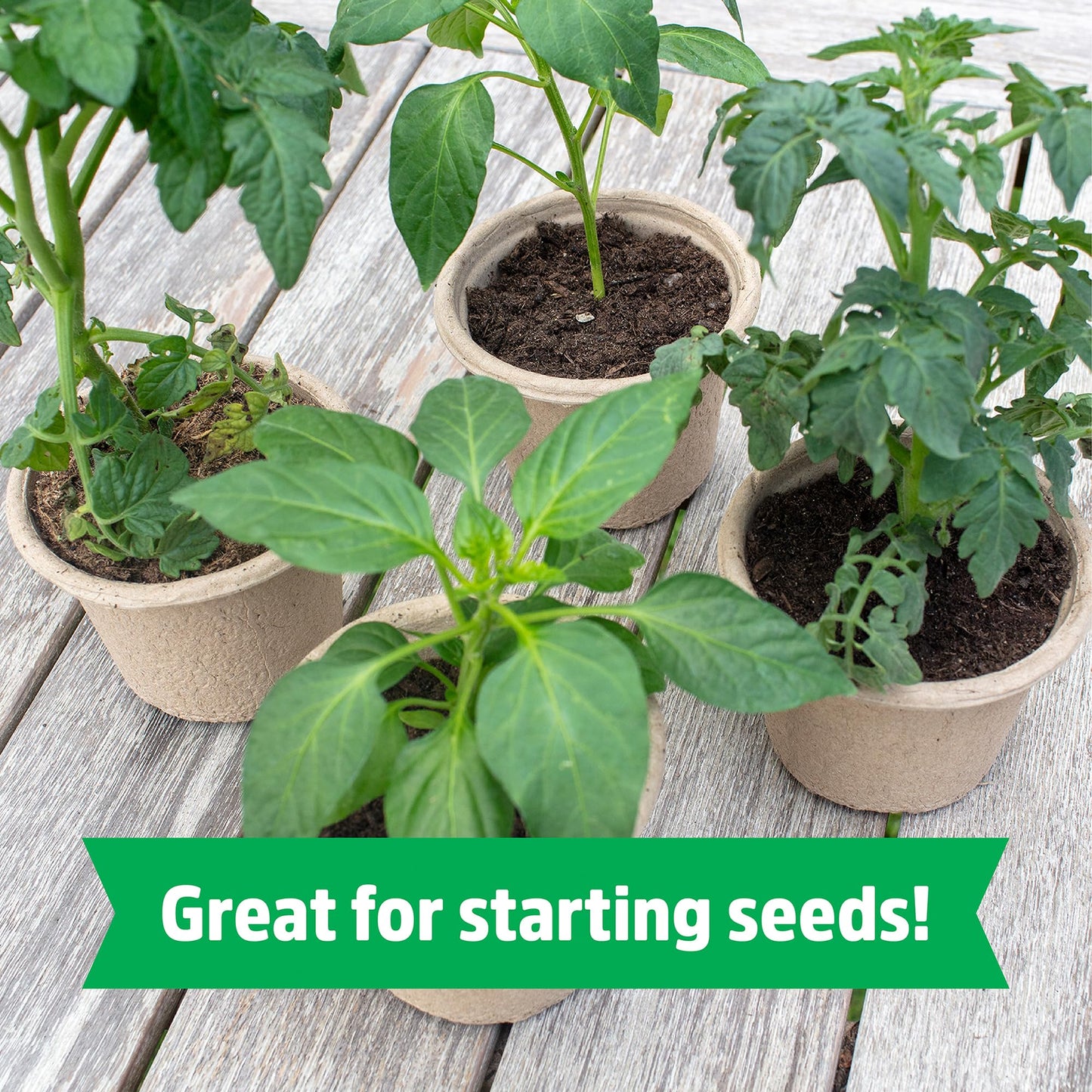 Back to the Roots 100% Organic Potting Mix (Value 12 Quart) | Premium Blend | Made in The USA