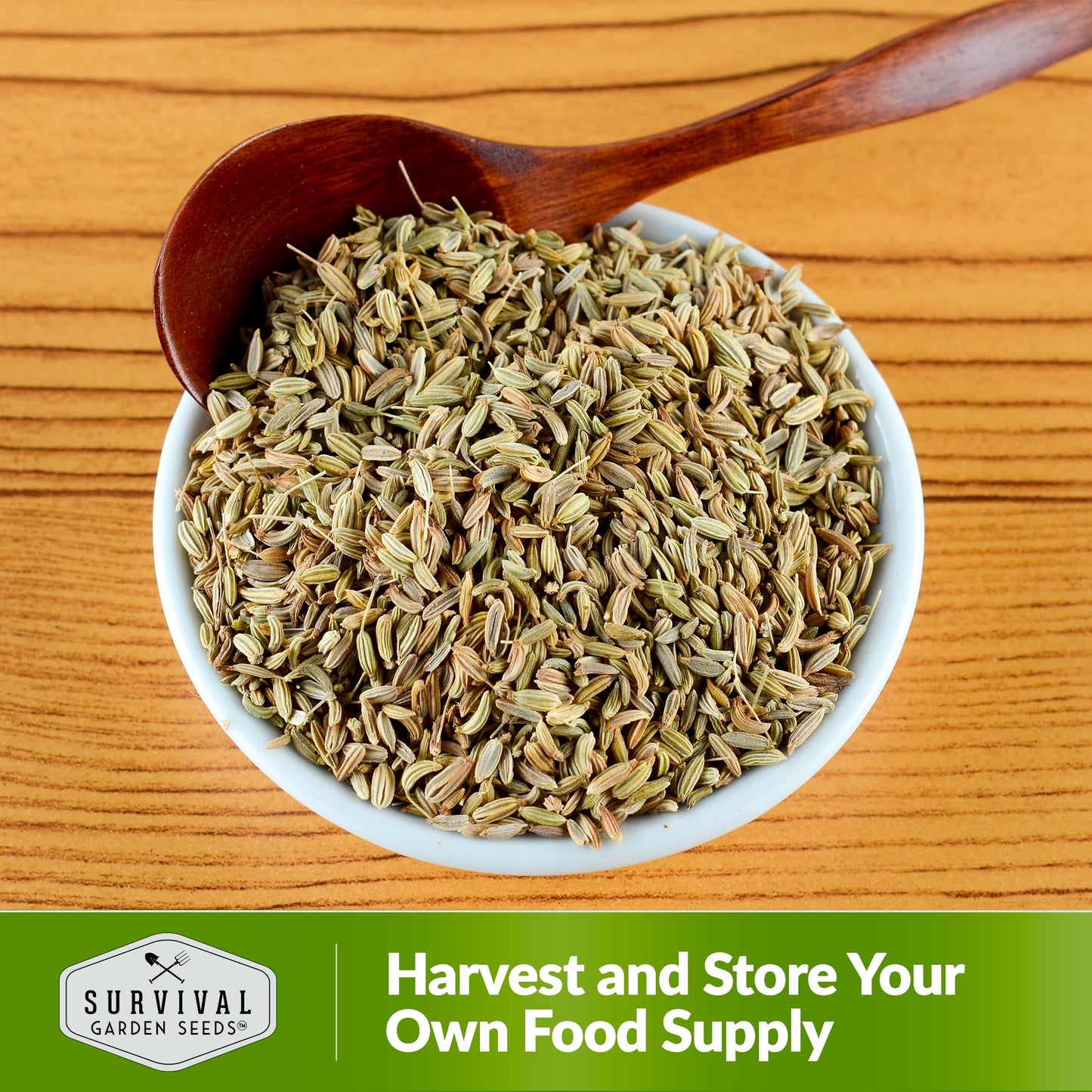 1 Pack Anise Seed for Planting with Instructions to Grow Aniseed in Your Home Herb Garden - Non-GMO Heirloom - Medicinal and Culinary - Unique Plant Seeds - Survival Garden Seeds