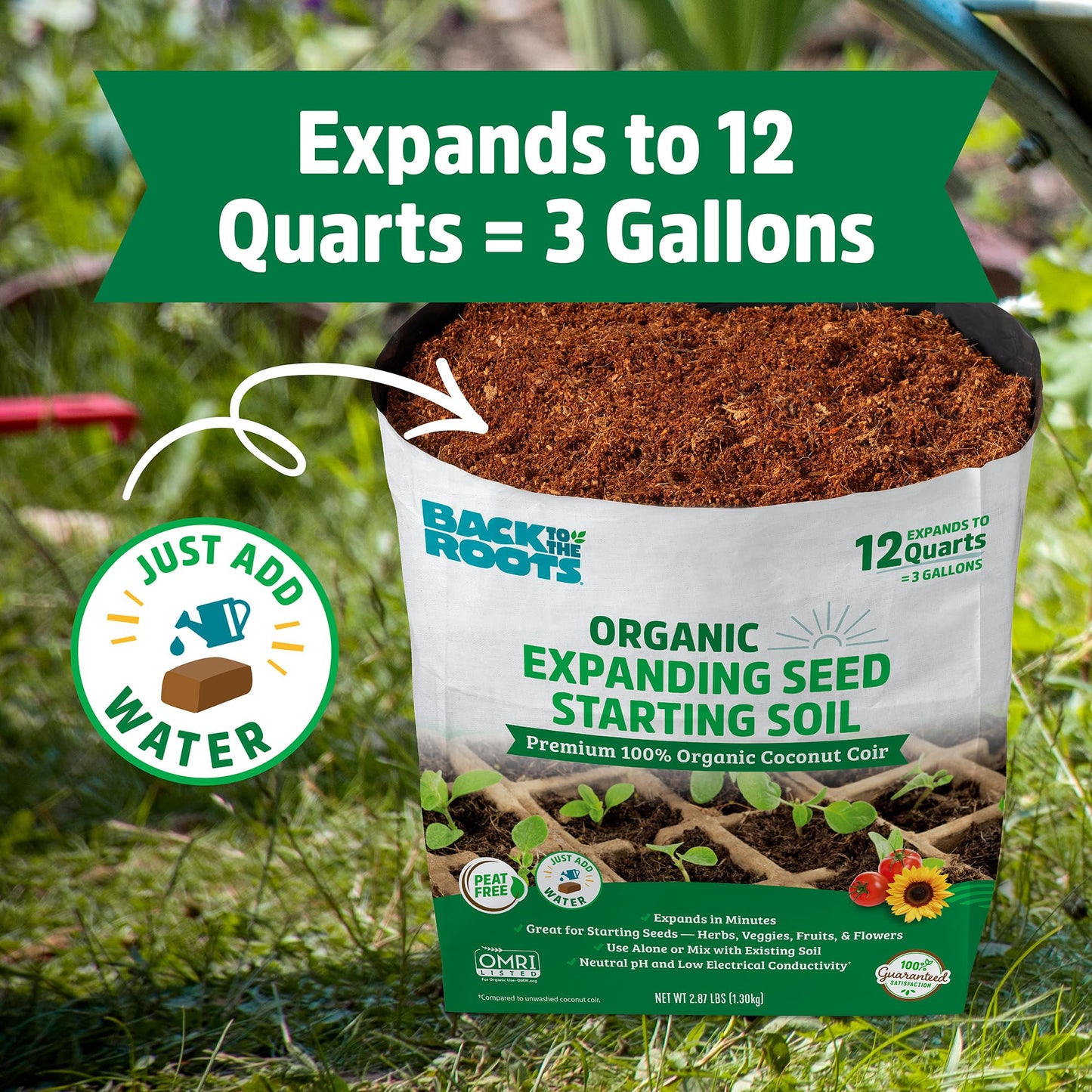 Back to the Roots 100% Organic Potting Mix (Value 12 Quart) | Premium Blend | Made in The USA