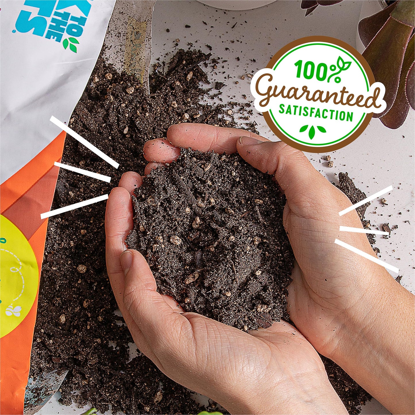 Back to the Roots 100% Organic Potting Mix (Value 12 Quart) | Premium Blend | Made in The USA