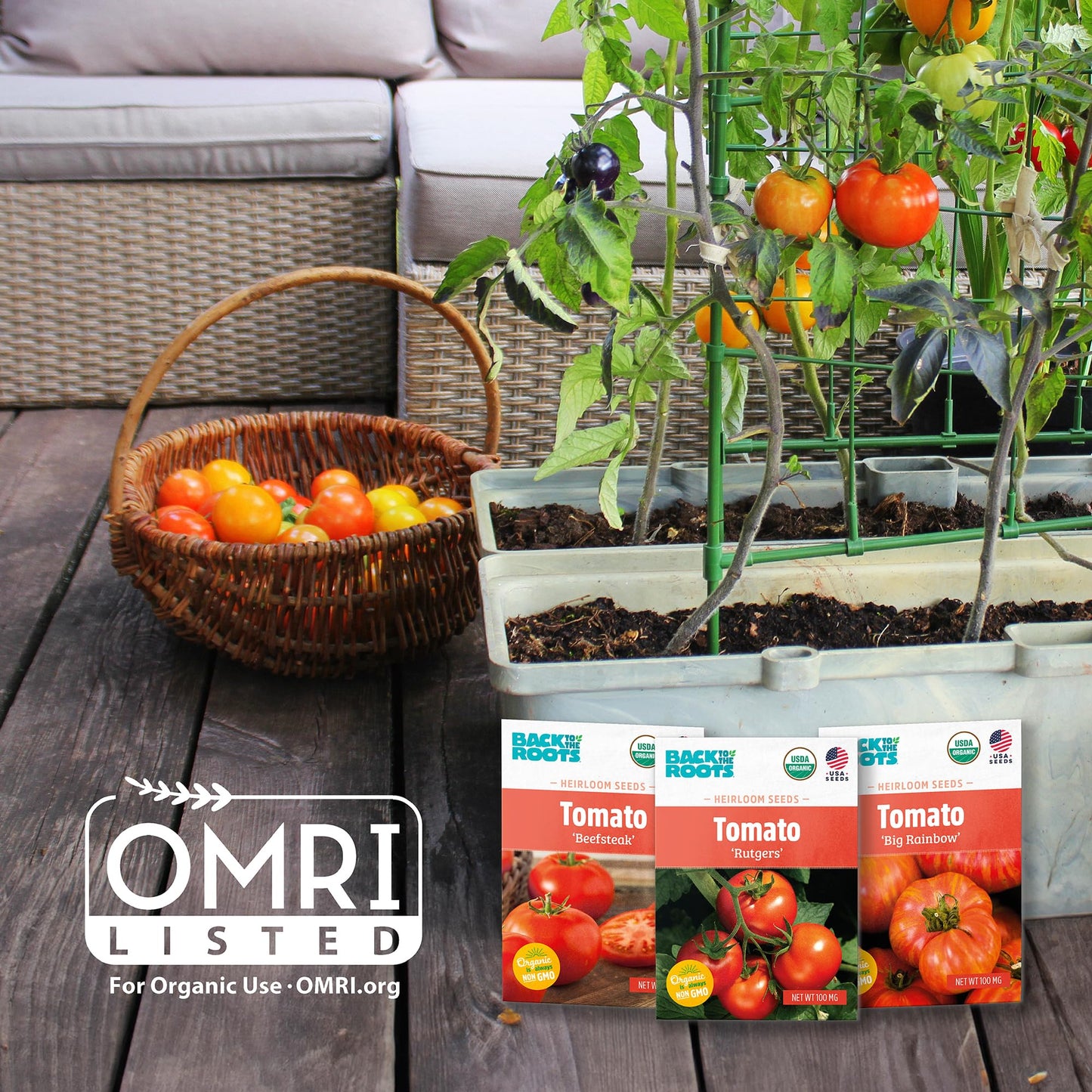 Back to the Roots 100% Organic Potting Mix (Value 12 Quart) | Premium Blend | Made in The USA