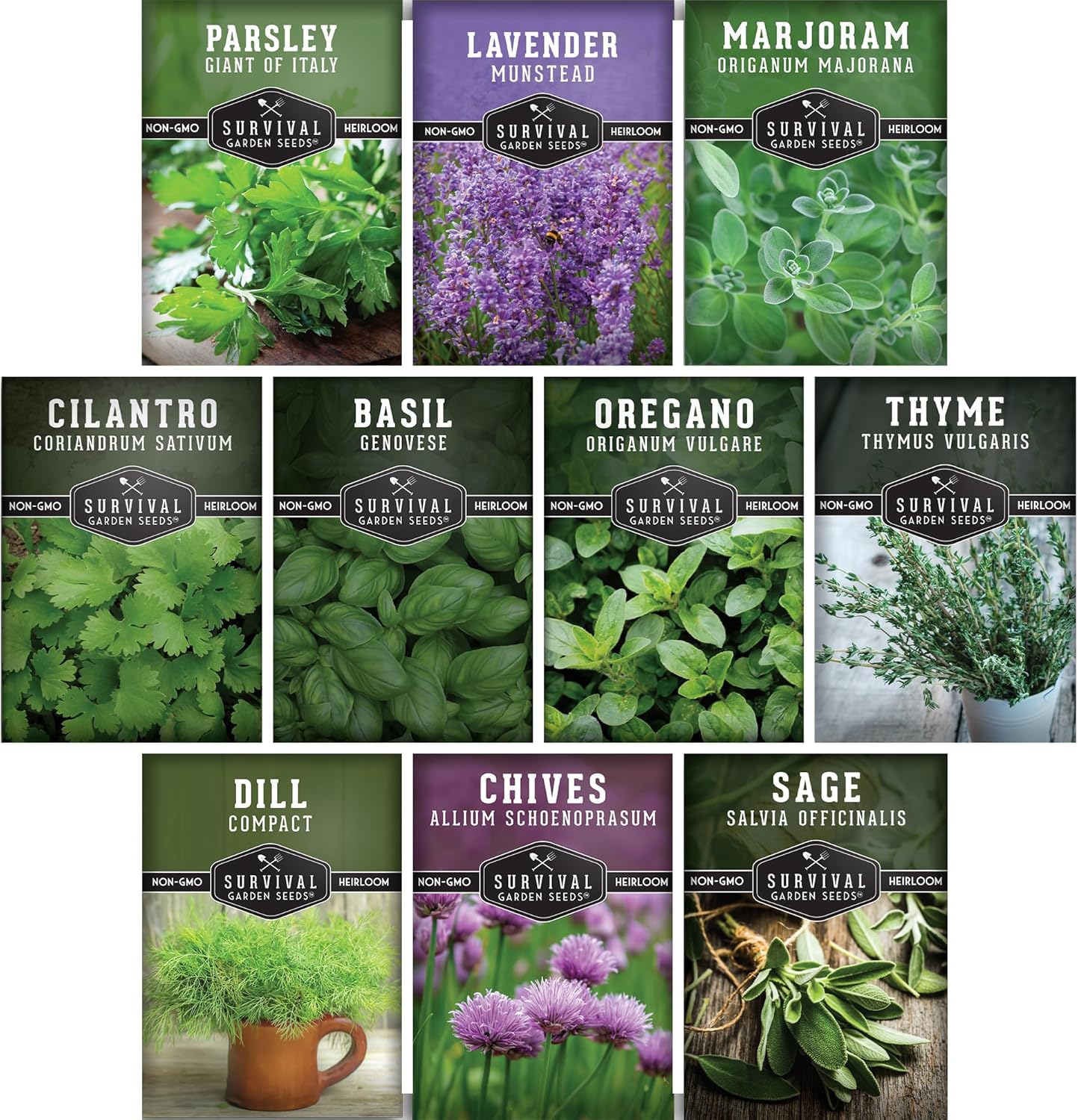 Herb Seeds Variety Pack | 10 Culinary Herbs for Planting – Basil, Cilantro, Lavender, Dill, Parsley, Oregano, Thyme, Sage, Chives, Marjoram – Indoor Kitchen Herb Kit – Survival Garden Seeds
