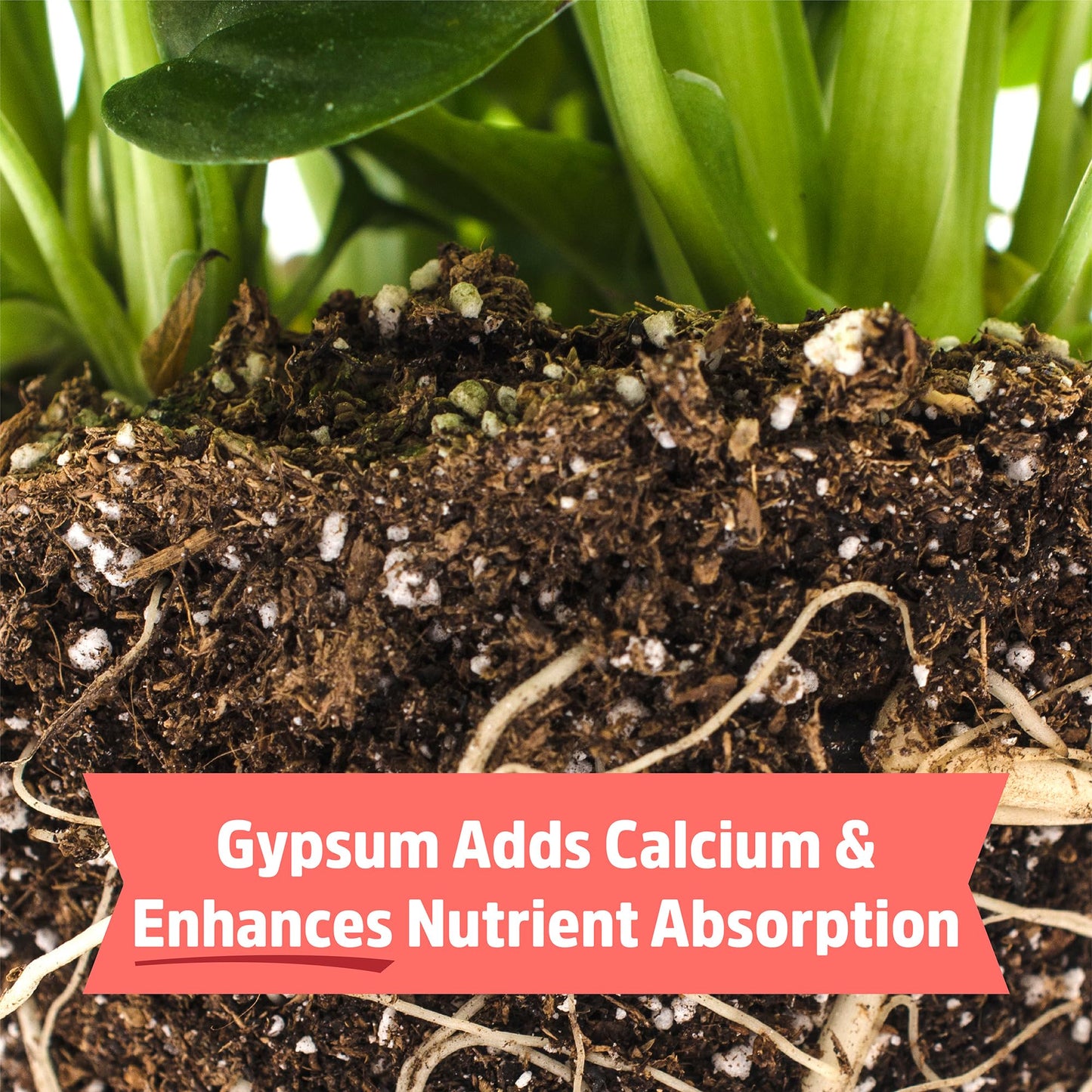 Back to the Roots Organic Worm Castings for Plants, Natural Fertilizer and Soil Enhancer for Gardening, Made in The USA, 5lb