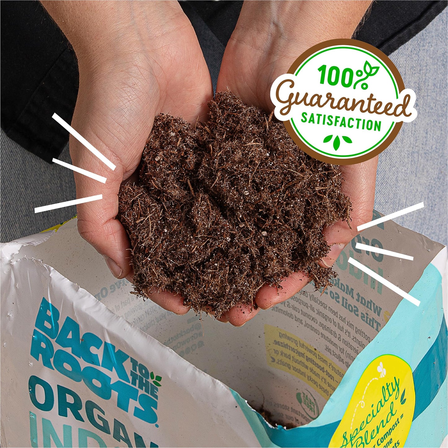 Back to the Roots 100% Organic Potting Mix (Value 12 Quart) | Premium Blend | Made in The USA