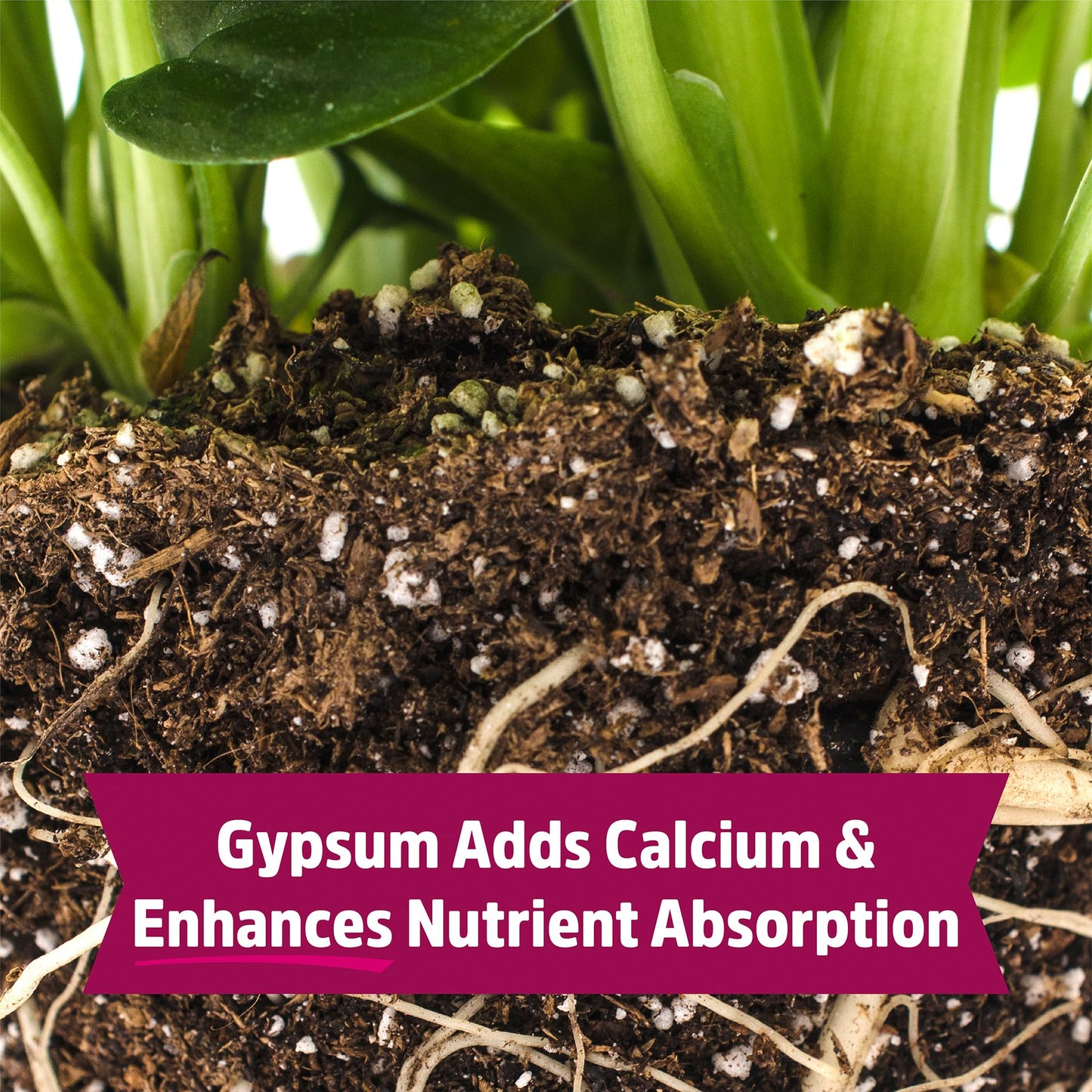 Back to the Roots Organic Worm Castings for Plants, Natural Fertilizer and Soil Enhancer for Gardening, Made in The USA, 5lb