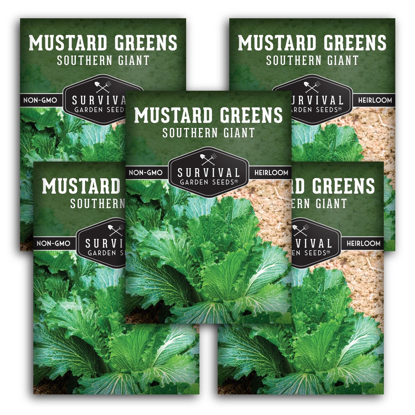 Southern Giant Mustard Green Seeds for Planting – Heirloom Non-GMO Spicy Greens, Heat Tolerant and Slow to Bolt for Home Vegetable Gardens - Survival Garden Seeds (2 Packs)