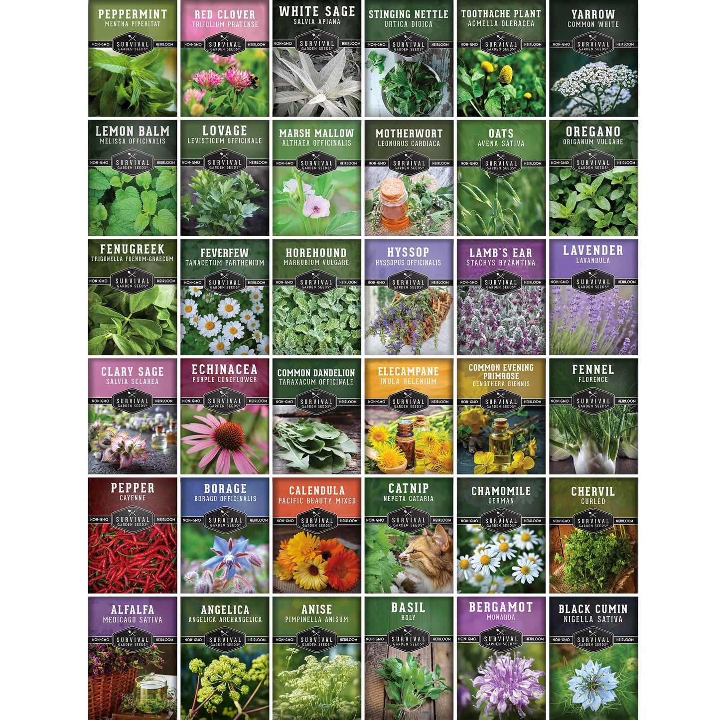 Ultimate Medicinal Herb Seeds Variety Pack – 36 Heirloom Non-GMO Healing Herbs for Planting | Wellness & Apothecary Garden Kit for Herbalists, Homesteaders – Survival Garden Seeds (28,000+)