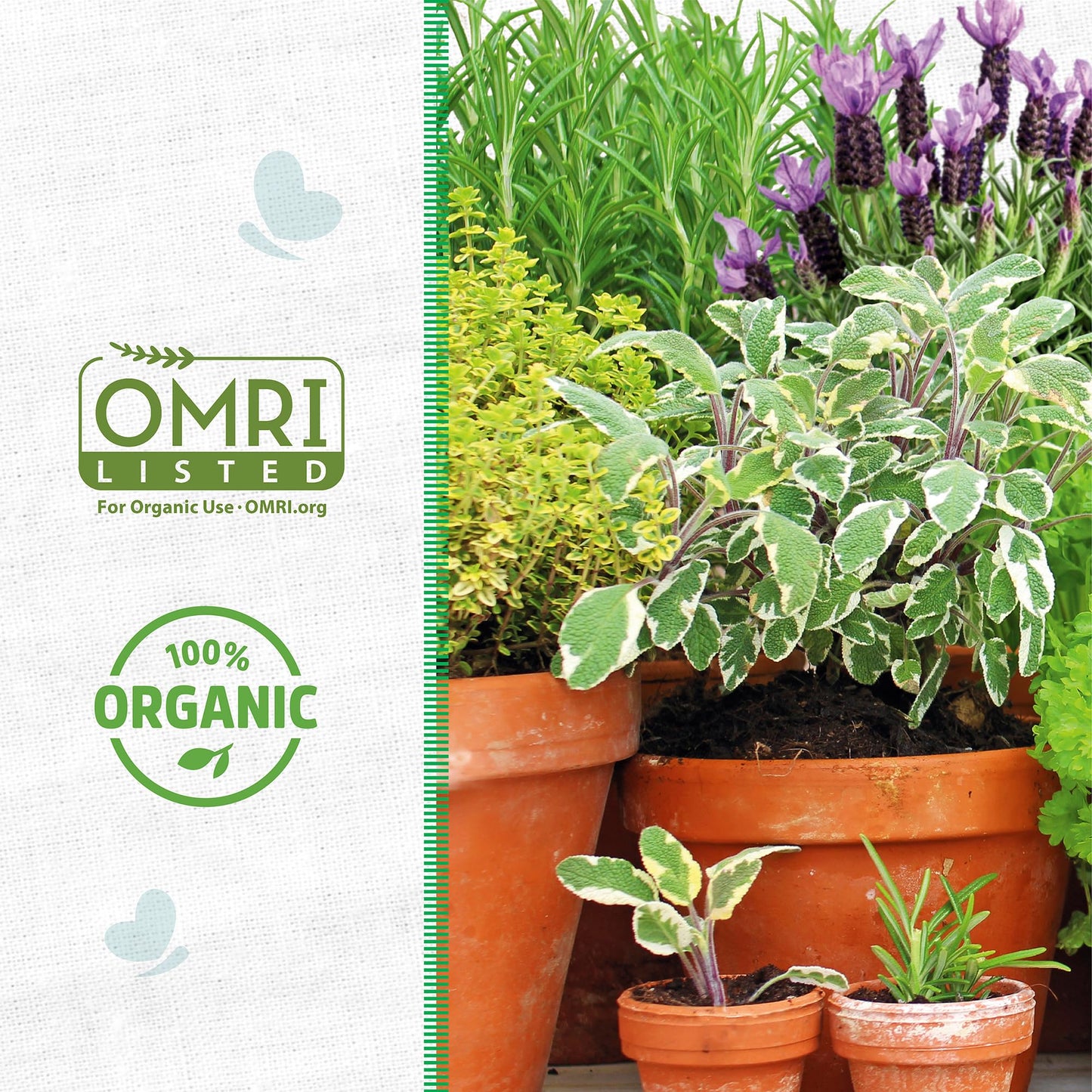 Back to the Roots Organic Worm Castings for Plants, Natural Fertilizer and Soil Enhancer for Gardening, Made in The USA, 5lb