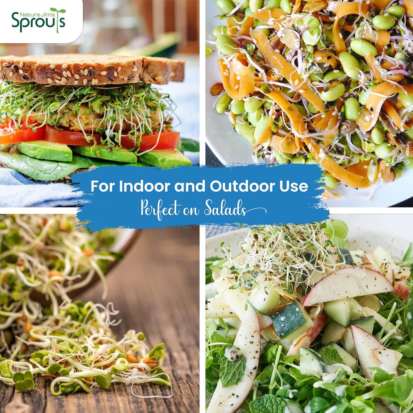 Nature Jims Sprouts Alfalfa Seeds – Non-GMO Organic Sprout Growing Kit for Planting – Premium Resealable Bag for Fresh Homegrown Sprouting Seeds – Rich in Nutrients, Vitamins, Fiber & Minerals – 16oz