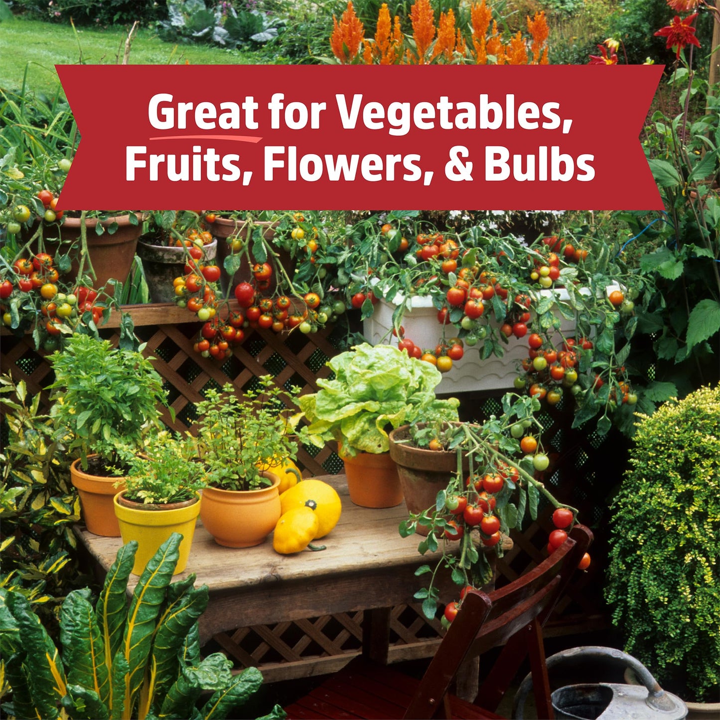 Back to the Roots Organic Worm Castings for Plants, Natural Fertilizer and Soil Enhancer for Gardening, Made in The USA, 5lb