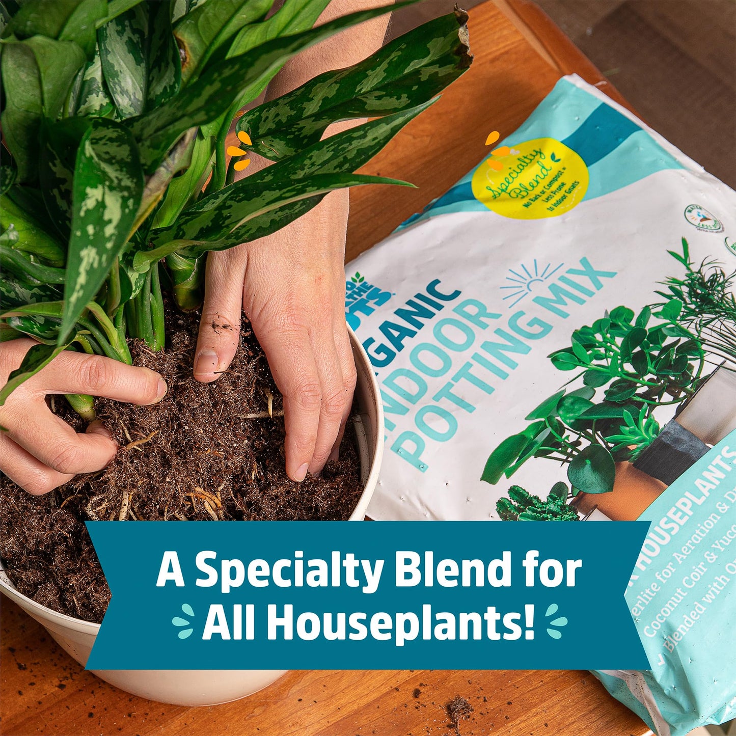 Back to the Roots 100% Organic Potting Mix (Value 12 Quart) | Premium Blend | Made in The USA