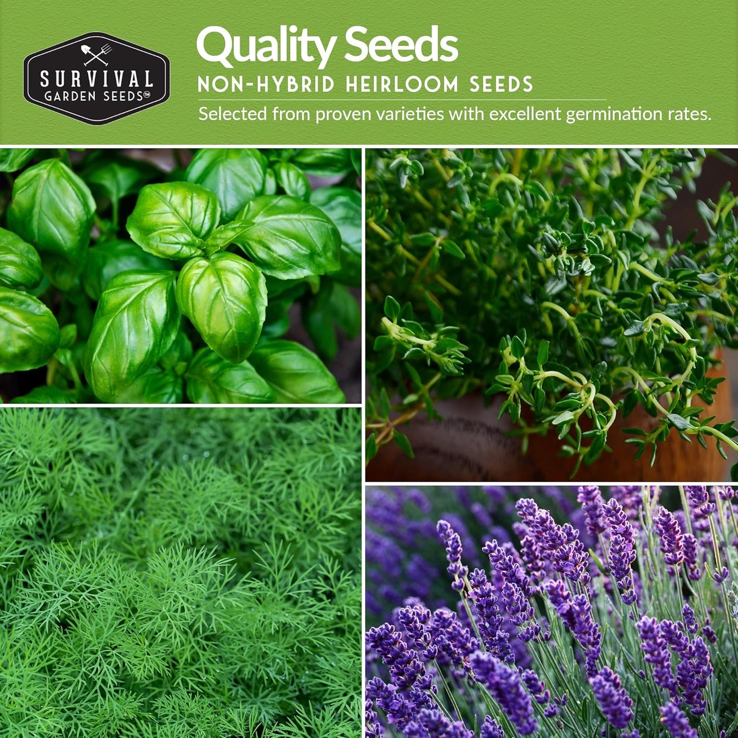 Herb Seeds Variety Pack | 10 Culinary Herbs for Planting – Basil, Cilantro, Lavender, Dill, Parsley, Oregano, Thyme, Sage, Chives, Marjoram – Indoor Kitchen Herb Kit – Survival Garden Seeds