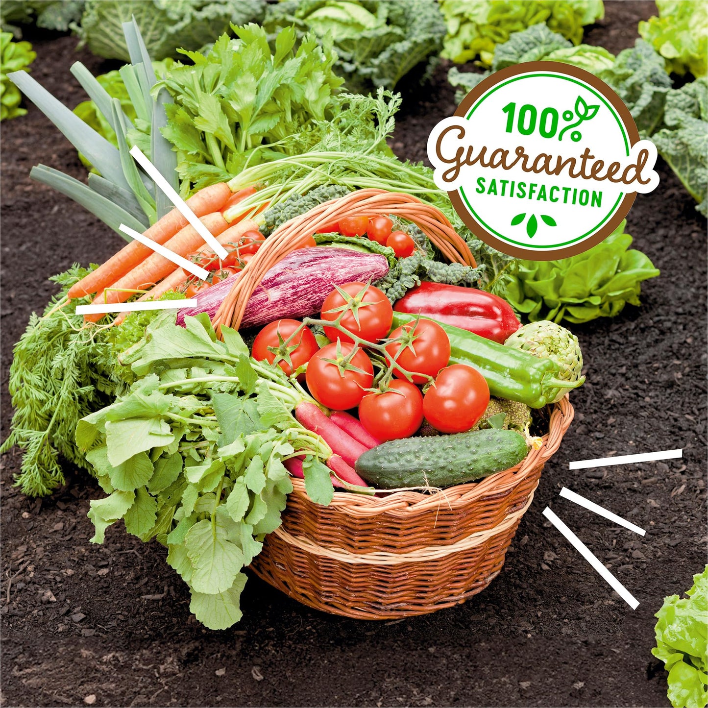 Back to the Roots Organic Worm Castings for Plants, Natural Fertilizer and Soil Enhancer for Gardening, Made in The USA, 5lb