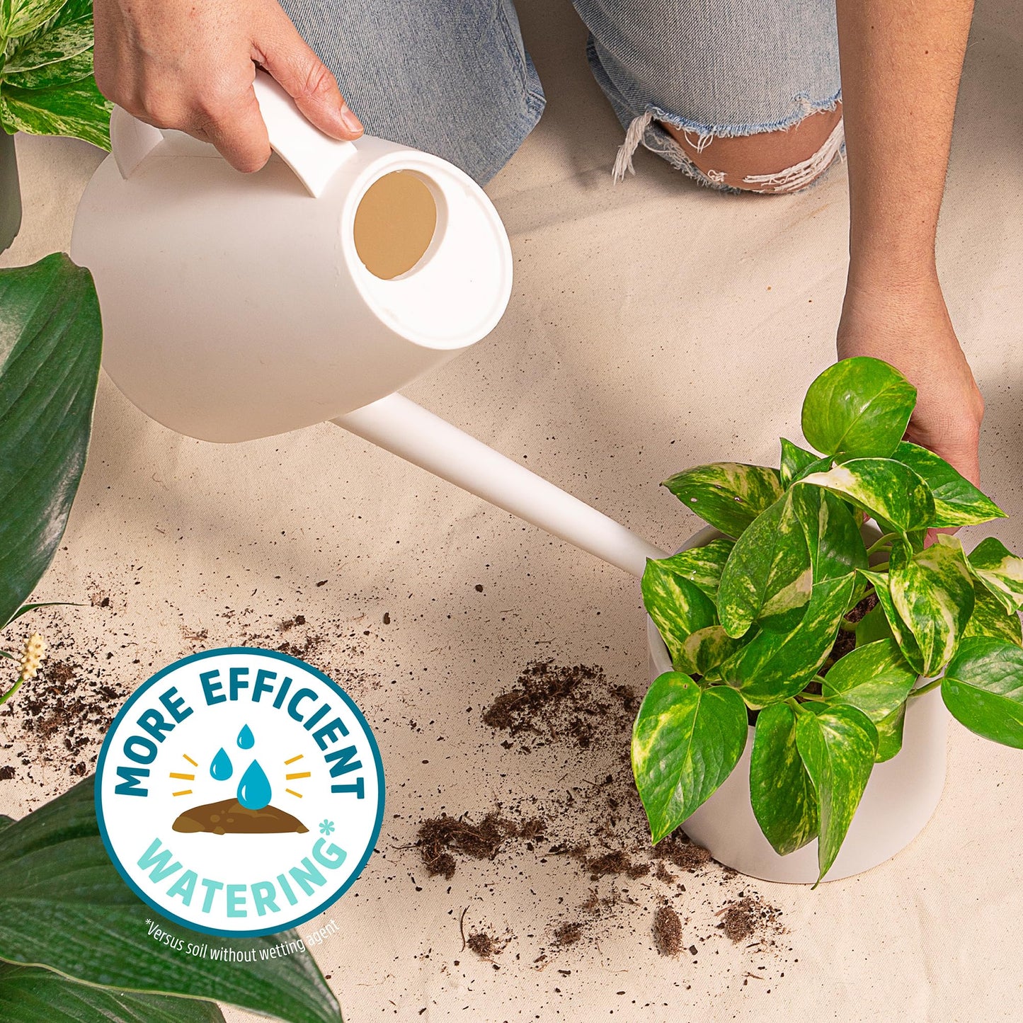 Back to the Roots 100% Organic Potting Mix (Value 12 Quart) | Premium Blend | Made in The USA