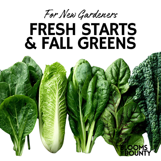 Fresh Starts + Fall Greens: A Quick Guide for New Gardeners