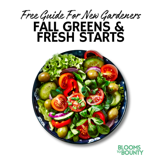 Fresh Starts + Fall Greens: A Quick Guide for New Gardeners