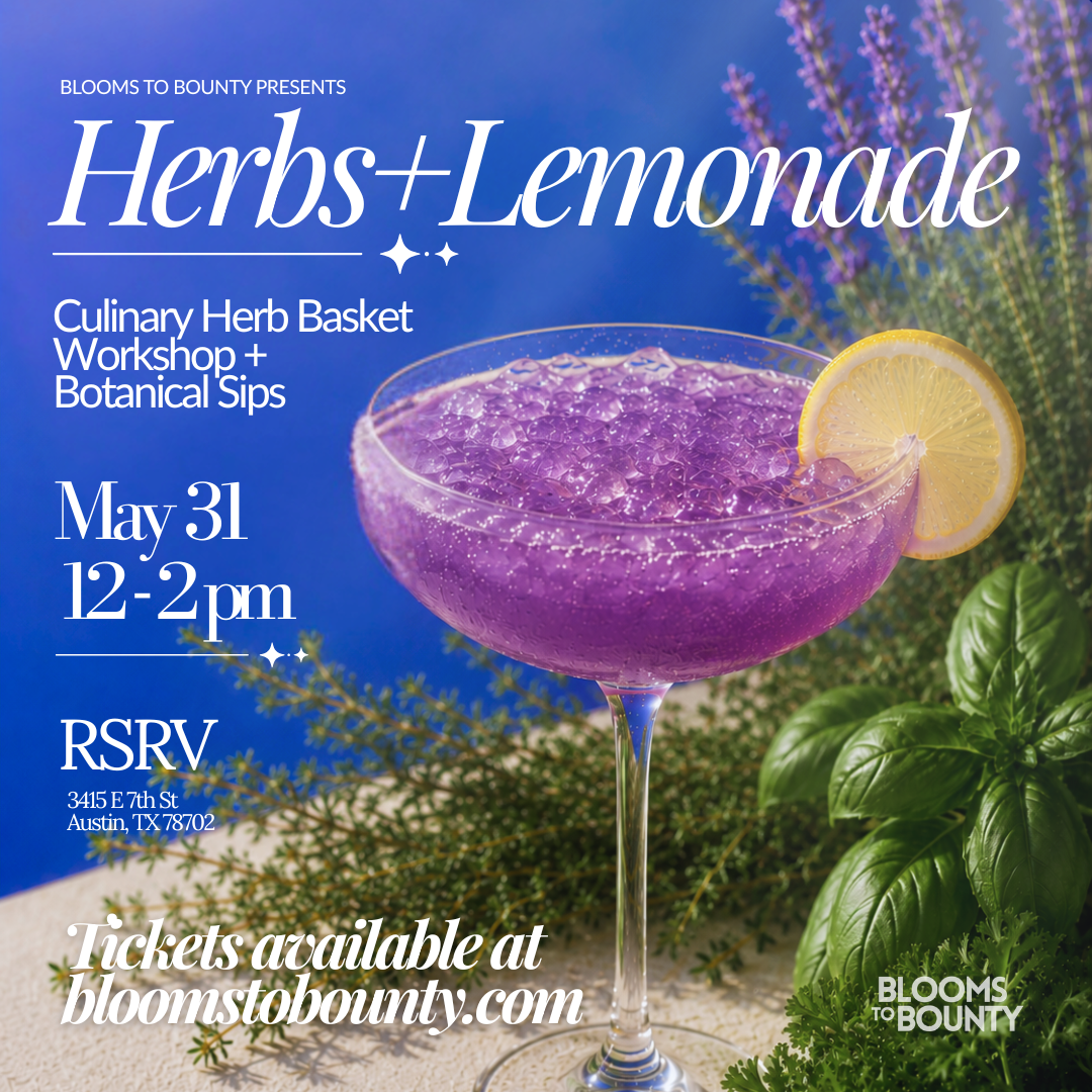 Herbs + Lemonade Workshop