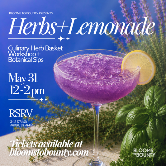 Herbs + Lemonade Workshop