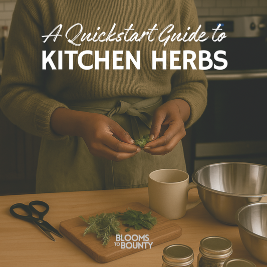 Kitchen Herbs Quickstart Kit™