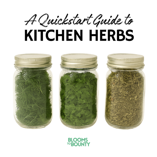 Kitchen Herbs Quickstart Kit™